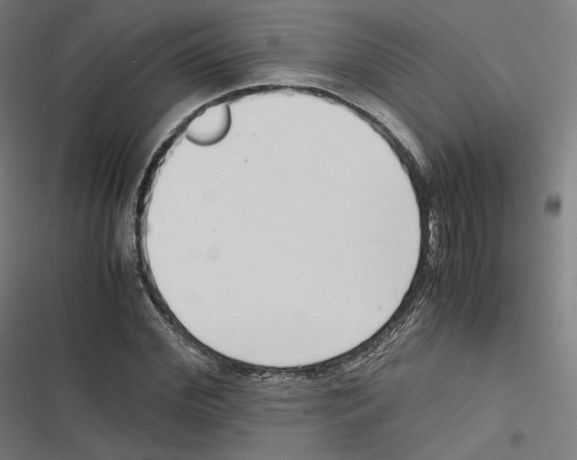 X0000116600972201001081146