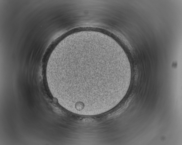 X0000116600974201001081146