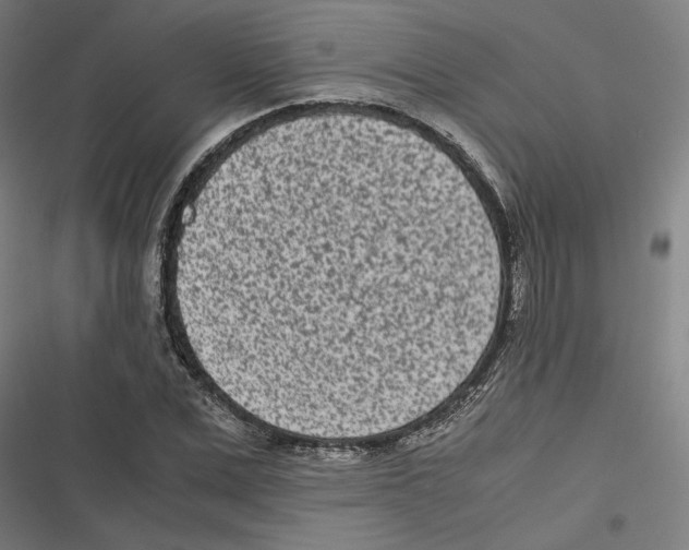 X0000116600975201001081146