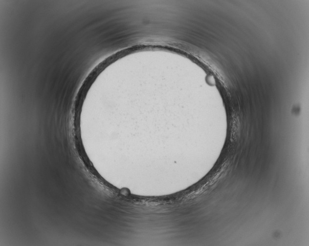 X0000116600976201001081146
