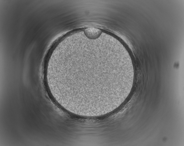 X0000116600979201001081146