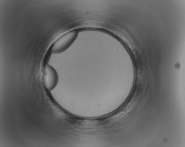 X0000116600981201001081146