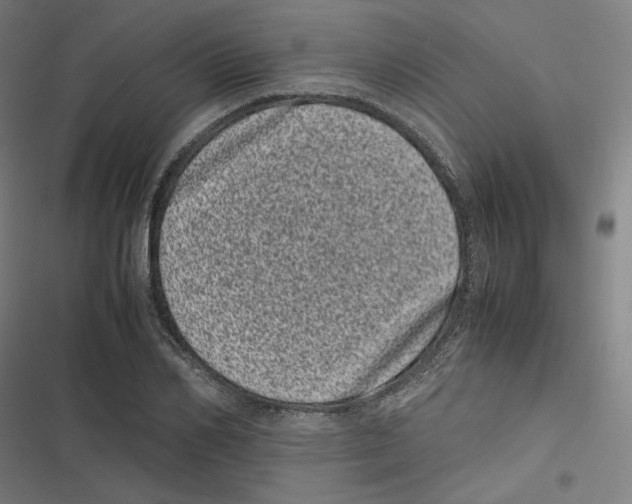 X0000116600982201001081146