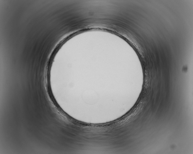 X0000116600984201001081146