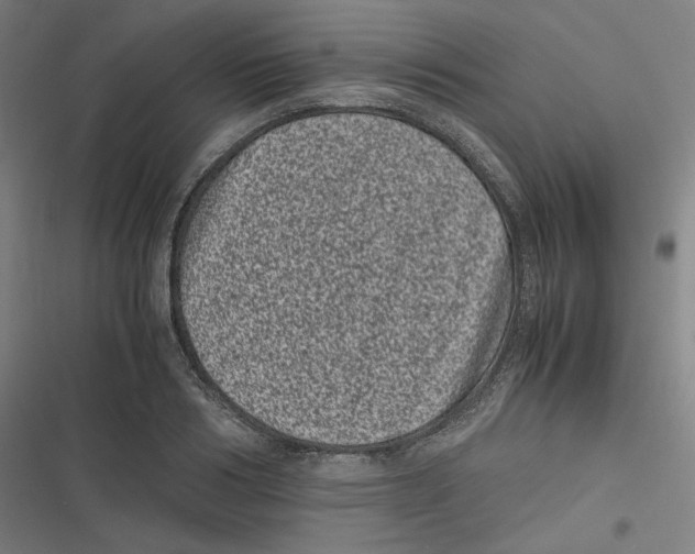 X0000116600986201001081146