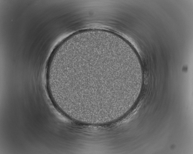 X0000116600987201001081146