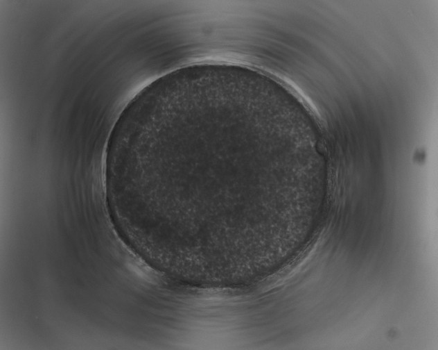 X0000116600988201001081146