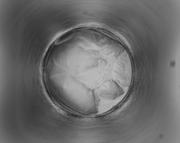 X0000116600989201001081146