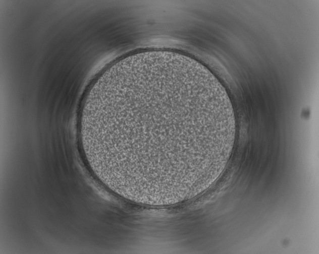 X0000116600990201001081146