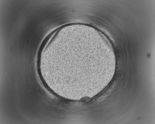 X0000116600991201001081146