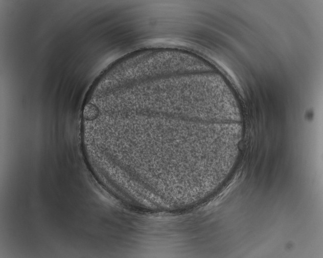 X0000116600992201001081146