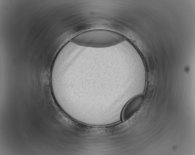 X0000116600993201001081146