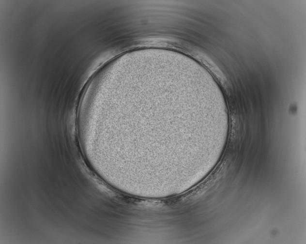 X0000116600994201001081146