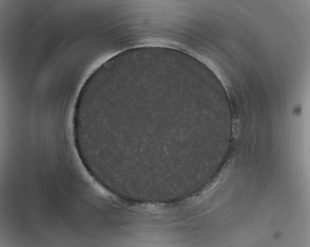 X0000116600995201001081146