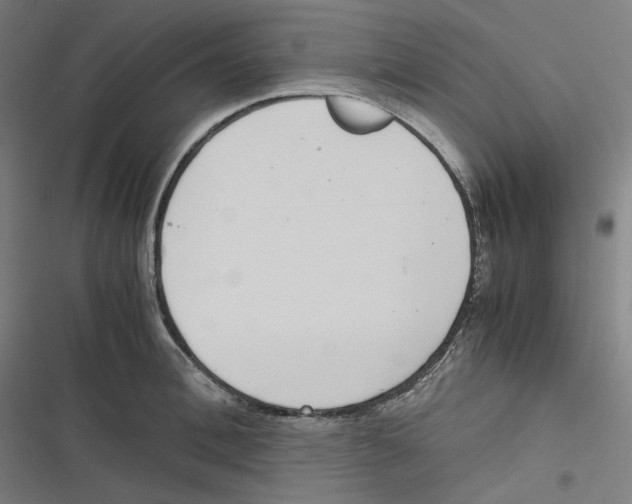 X0000116600996201001081146