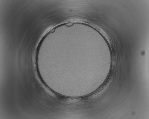 X0000116600997201001081146