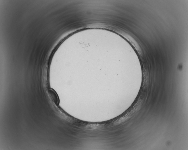 X0000116601000201001081146