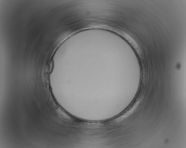 X0000116601001201001081146