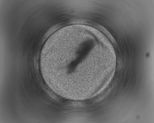 X0000116601002201001081146