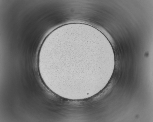 X0000116601004201001081146