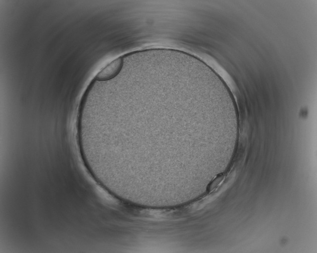 X0000116601005201001081146