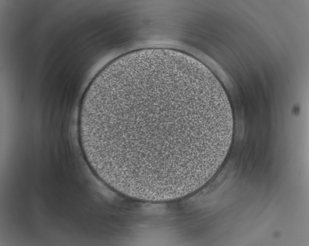 X0000116601006201001081145