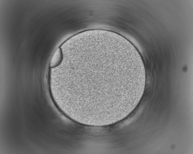 X0000116601007201001081145