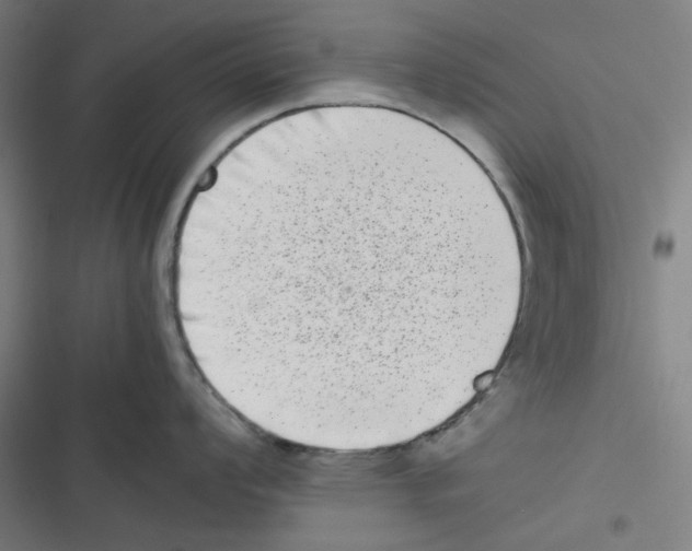 X0000116601008201001081145