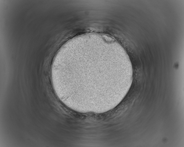 X0000116601009201001081145