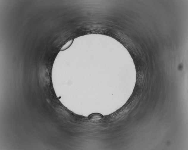 X0000116601010201001081145