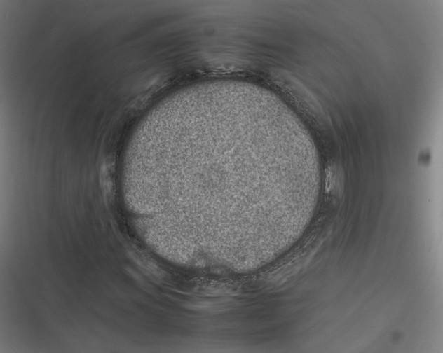 X0000116601011201001081145