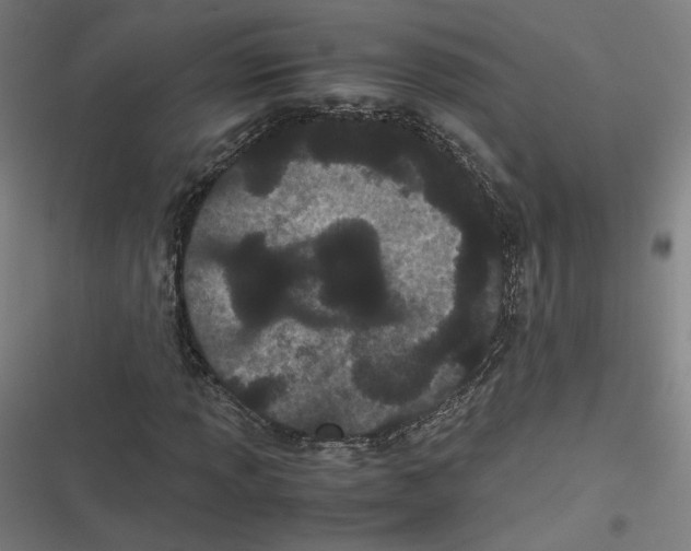 X0000116601013201001081145