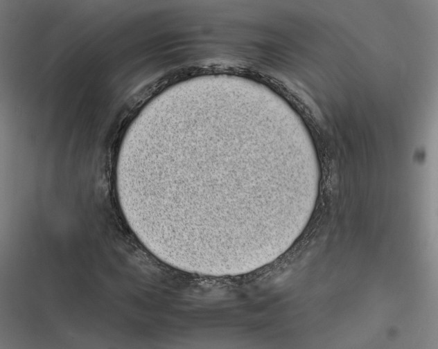 X0000116601015201001081145