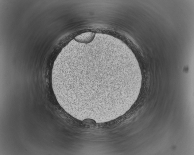 X0000116601016201001081145