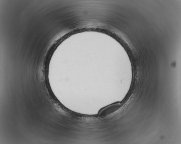 X0000116601018201001081145