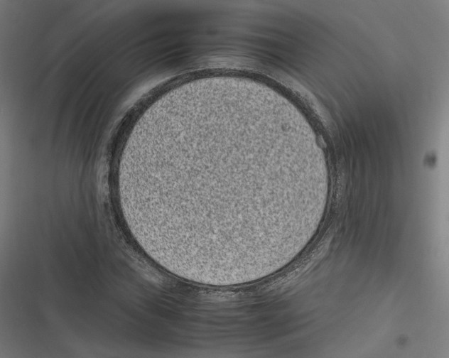 X0000116601019201001081145