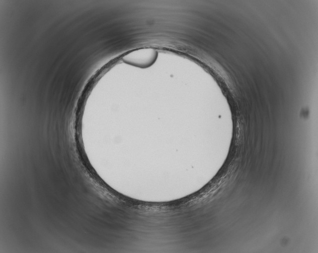 X0000116601020201001081145