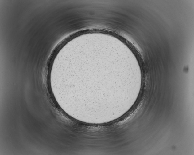 X0000116601021201001081145