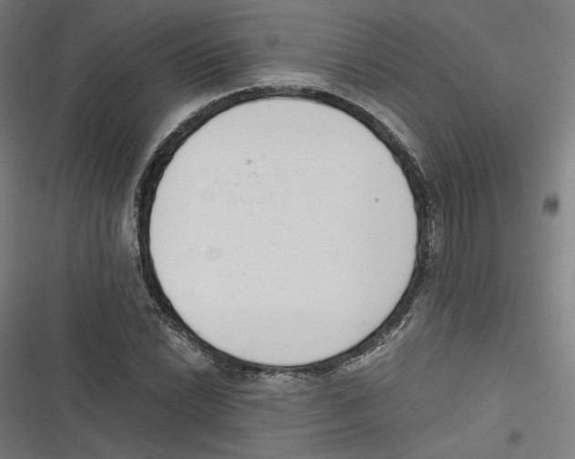 X0000116601022201001081145