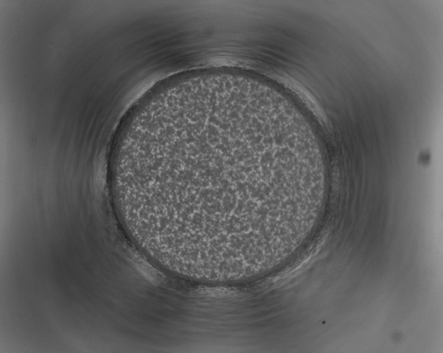 X0000116601023201001081145
