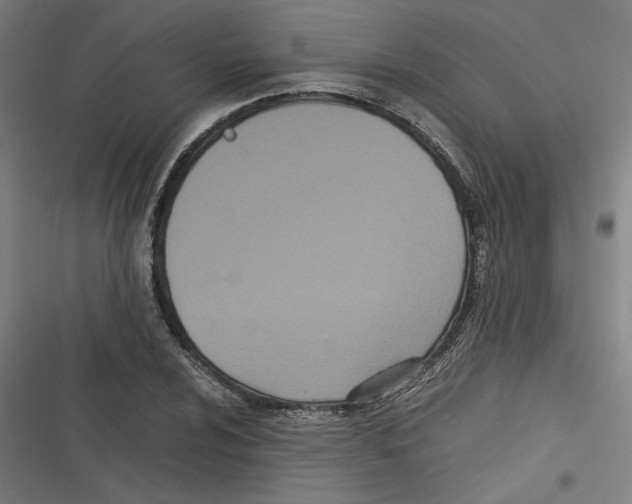 X0000116601024201001081145