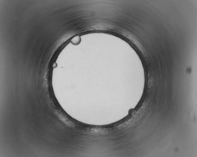X0000116601026201001081145
