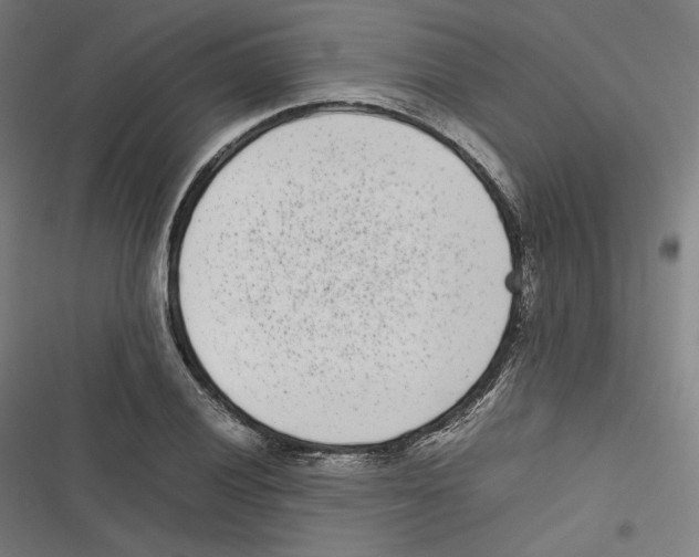 X0000116601028201001081145