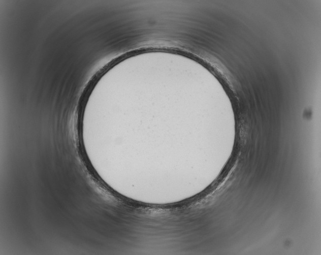 X0000116601030201001081145