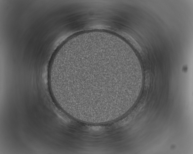 X0000116601031201001081145