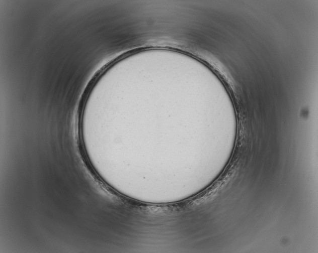 X0000116601032201001081145