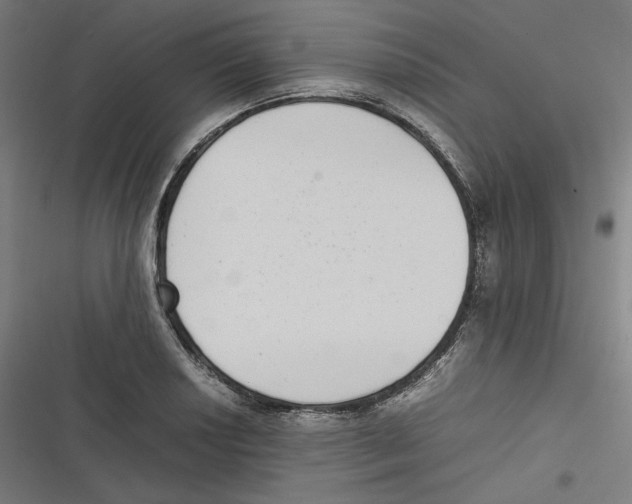 X0000116601034201001081145