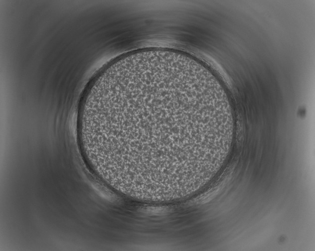 X0000116601035201001081145