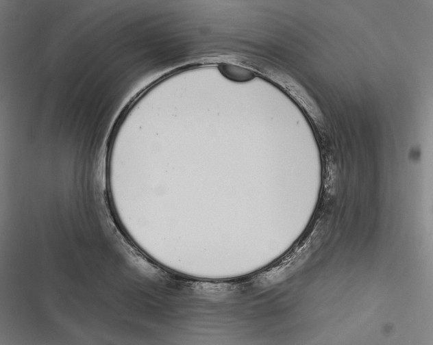 X0000116601036201001081145
