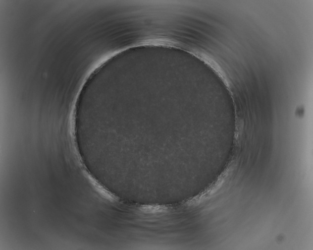 X0000116601037201001081145